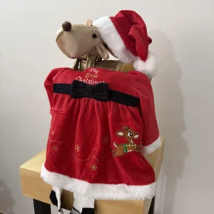 Conjunto my first christmas