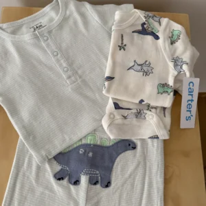 Set de bodys y pantalon de dinosaurio